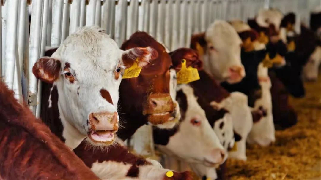 1643274214870754.jpg WeChat Image_20220127170245.jpg