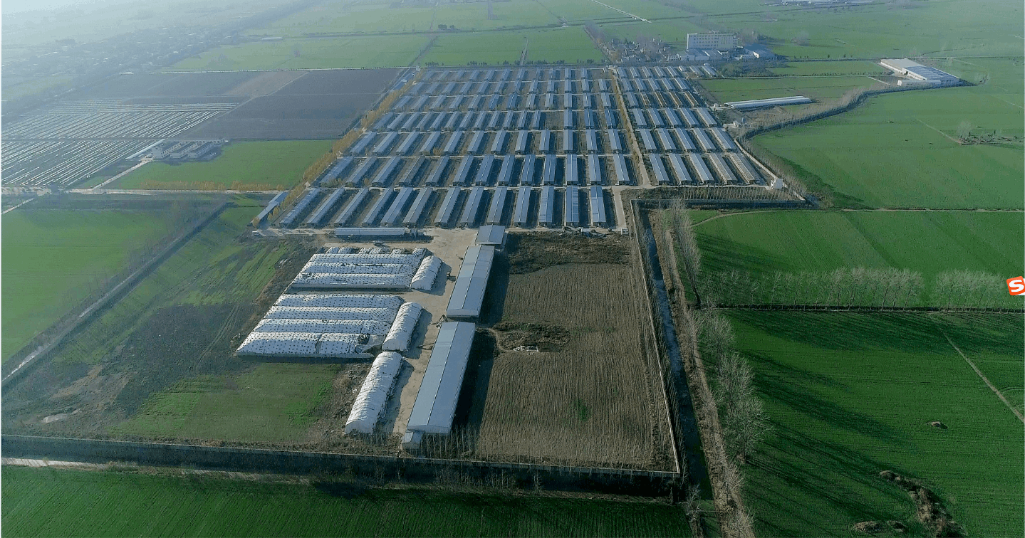 1660892471556015.png 圖片3.png