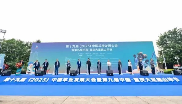 1698028300135016.jpg 1698028300135016.jpg