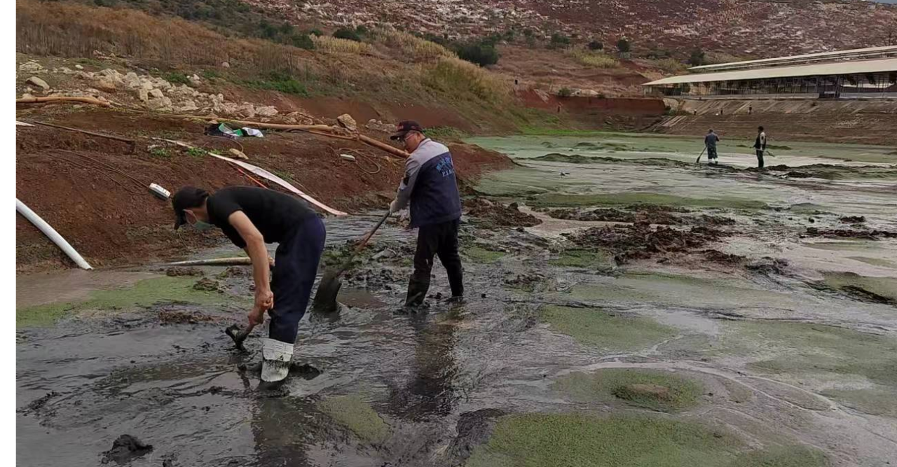 1698028734500048.png 1698028734500048.png